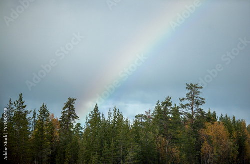 Rainbow over the autumn forest