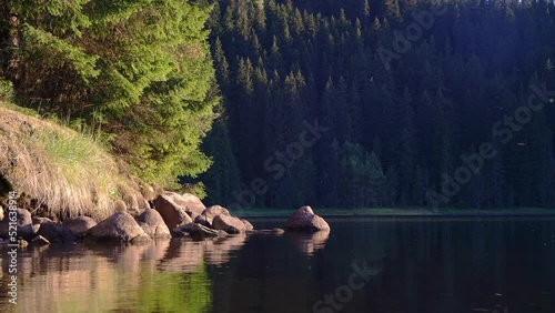 Forest lake in sunset. Camera moves slowly, panning left. Soft light. Insects, bugs fly over the water surface. Mountain range in background.