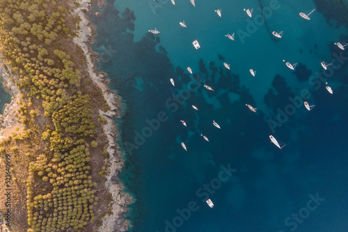 Aerial view of sailing boats in Fetovaia Bay at sunset, Seccheto, Elba Island, Tuscany, Italy. photo