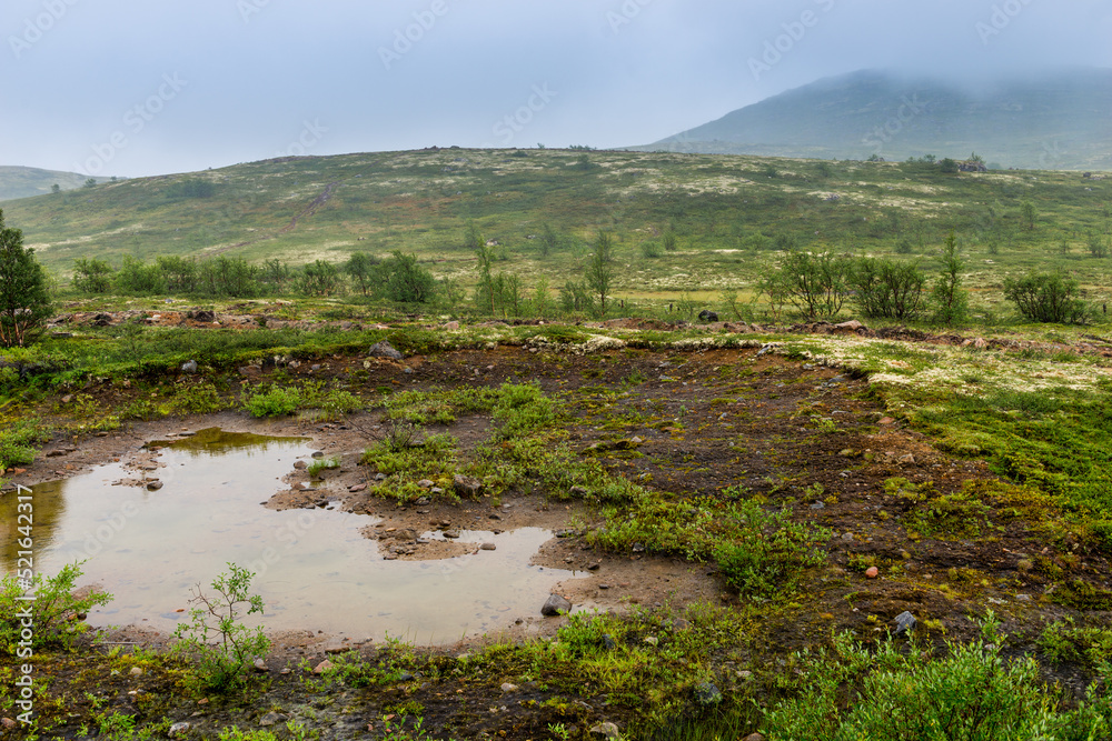 Polar landscape with granite stones and plants. North lake in the stone shore Polar landscape with granite stones and plants. North lake in the stone shore