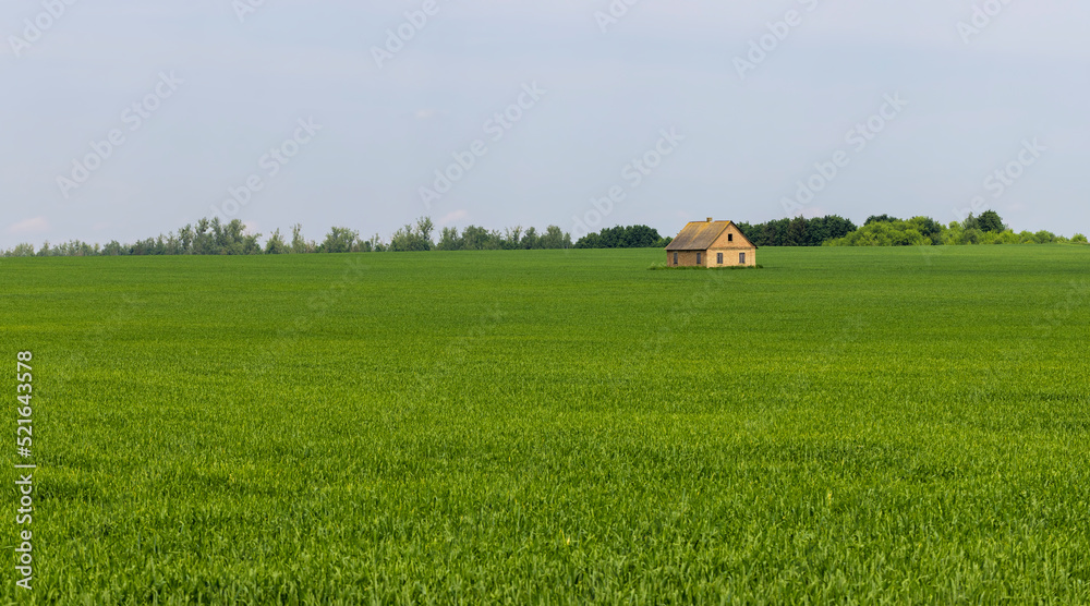 A farm house in a field with green cereals