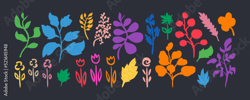 Grunge hand drawn doodle plants set. Big collection of abstract trendy floral elements and shapes for creating patterns or backgrounds. Grunge abstract flowers and palnts.