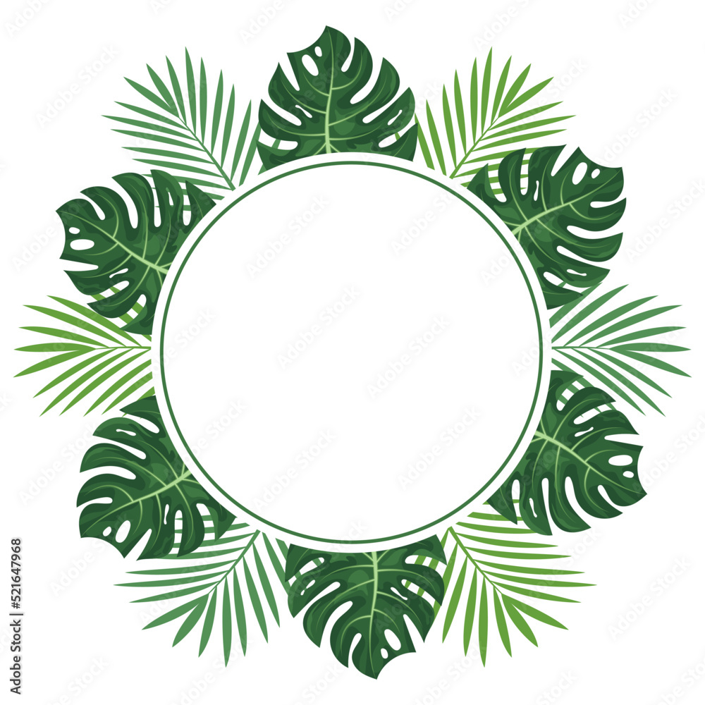 Tropical frame with monstera and palm leaves on white background