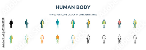 human body icon in 18 different styles such as thin line, thick line, two color, glyph, colorful, lineal color, detailed, stroke and gradient. set of human body vector for web, mobile, ui