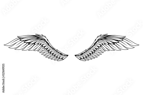 Vintage heraldic wings sketch. Monochrome stylized birds wings. Hand drawn contoured stiker wing in open position. Design elements in coloring style