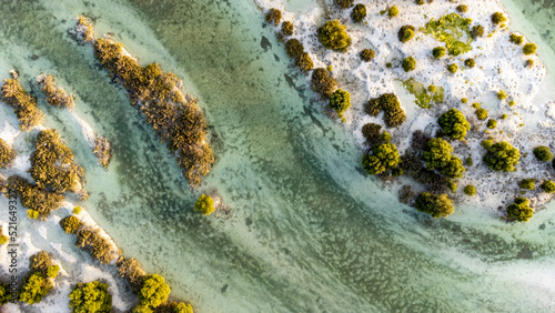 Foto Aerial Photography of the mangroves in Abu Dhabi, UAE.