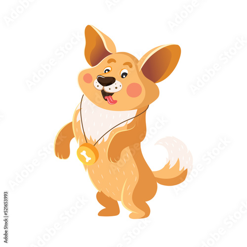 Corgi with a medal. Orange welsh corgi