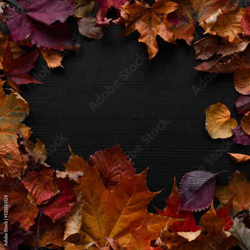 Fallen autumn leaves in the form of a frame  copy space for your text. Autumn background  a black board with the texture of wood and withered leaves of maple and other trees