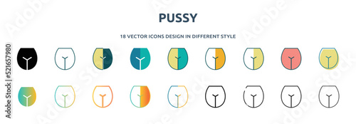 pussy icon in 18 different styles such as thin line, thick line, two color, glyph, colorful, lineal color, detailed, stroke and gradient. set of pussy vector for web, mobile, ui