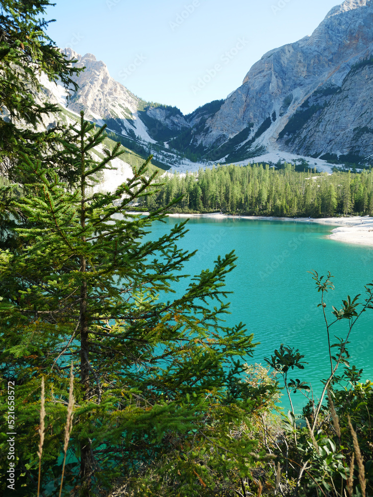 Dolomiten - Pragser Wildsee in Südtirol hinter Nadelbäumen versteckt
