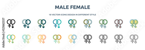 male female icon in 18 different styles such as thin line, thick line, two color, glyph, colorful, lineal color, detailed, stroke and gradient. set of male female vector for web, mobile, ui