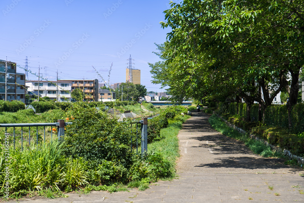 夏の青空と2021年の京王堀之内駅周辺の川沿いの風景