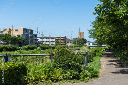 夏の多摩川沿いの散歩道