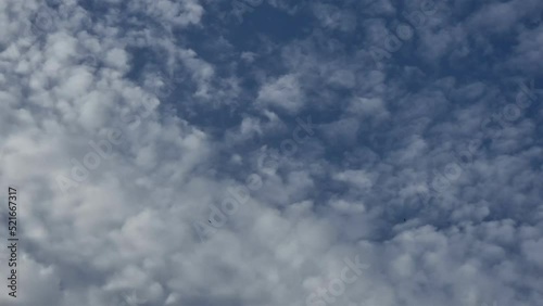 Nubes y golondrinas que revolotean