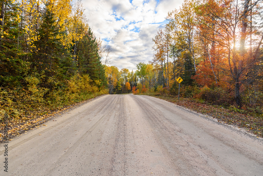 Fototapeta premium Deserted unmade road through a colourful autumn forest at sunset