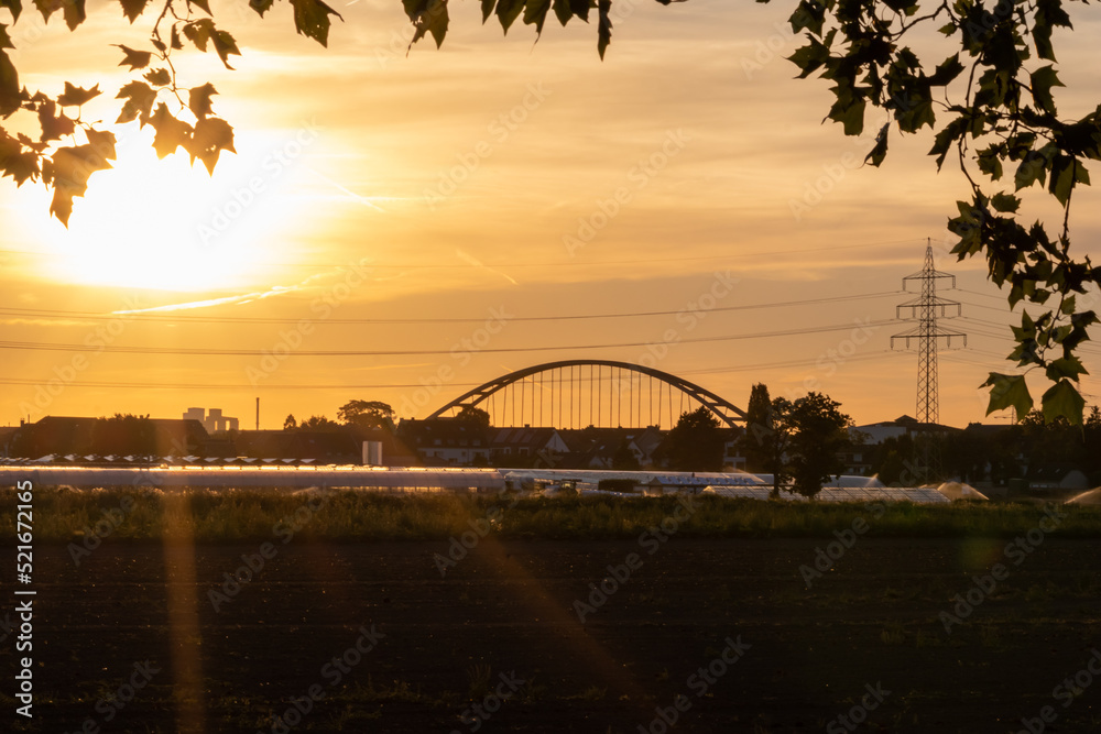 Obraz premium Golden sunset over greenhouse silhouettes with bridge and electricity tower for solar power in agricultural business on idyllic countryside and rural scenery shows glass greenhouses healthy vegetables
