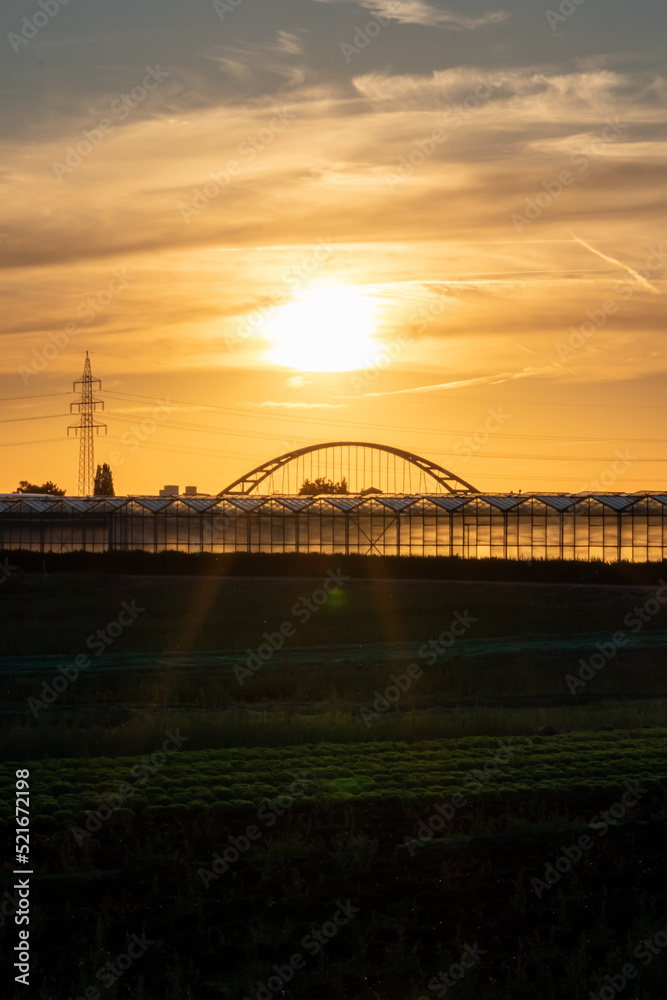 Golden sunset over greenhouse silhouettes with bridge and electricity tower for solar power in agricultural business on idyllic countryside and rural scenery shows glass greenhouses healthy vegetables