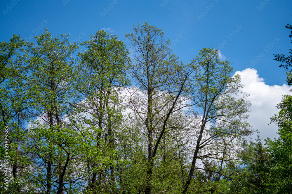 fascinating clouds and blue sky