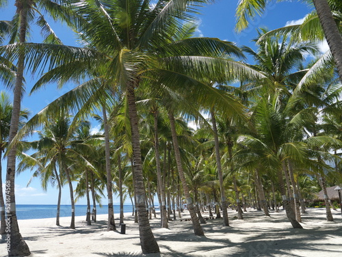 Weißer Sandstrand auf den Philippinen unter Palmen