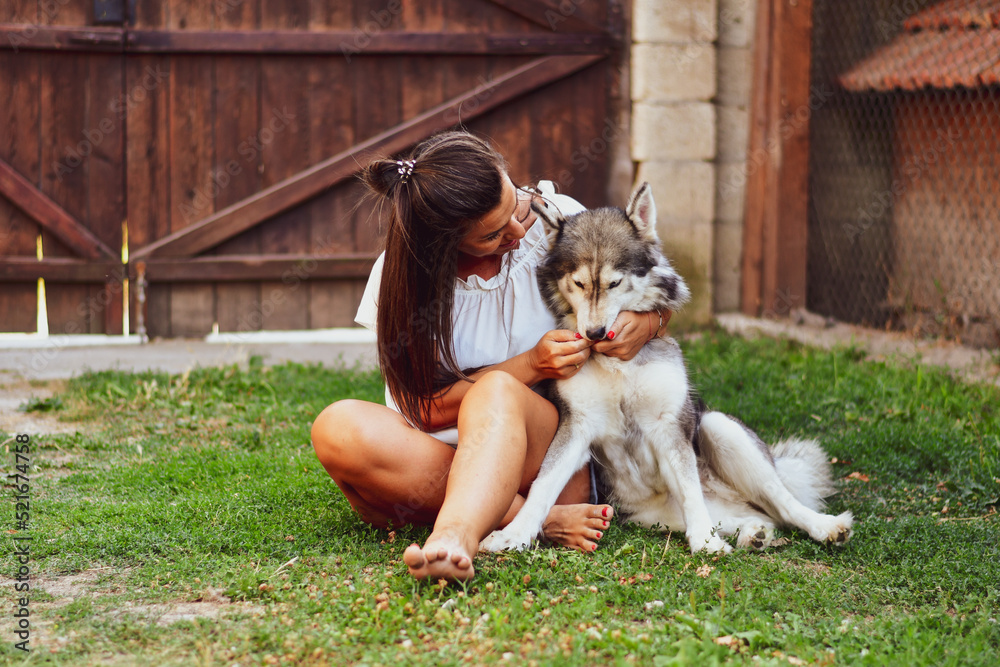  Woman and Dog.Smiling  Beautiful Woman having fun and  hugging  cute siberian Husky Dog at the back Yard .   Woman Playing with her dog durign the summer vacation 