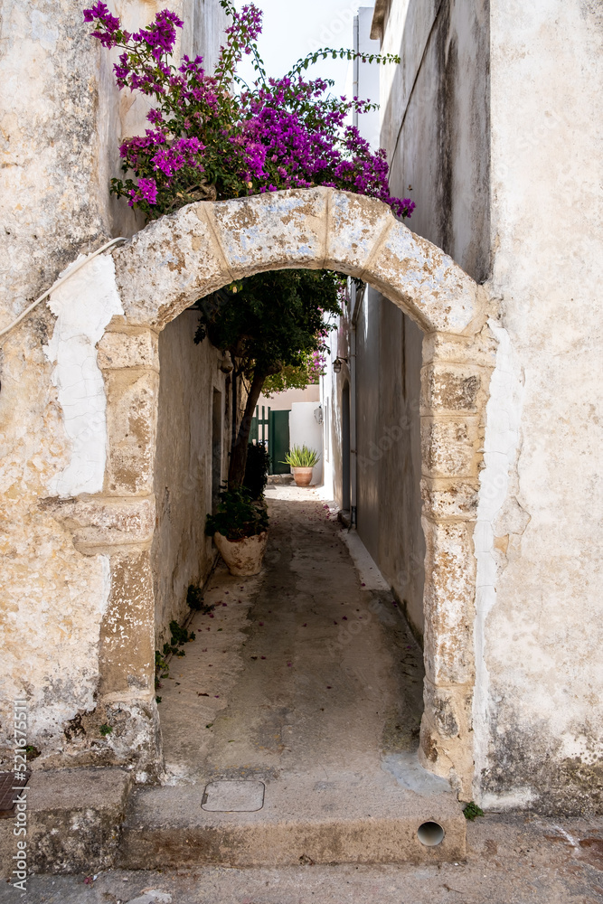 Kythira island Mylopotamos Greece. Arched entrance, outdoors yard, purple bougainvillea. Vertical