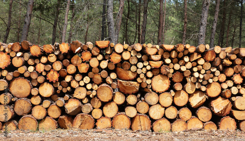 Wood log stack, timber winter stock background. Firewood storage in forest. Round tree trunk cut