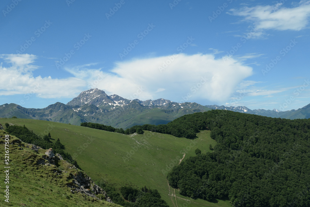 Fototapeta premium panorama