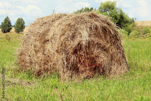 Fototapeta Haystack or straw in a farm field