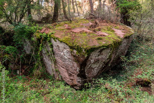 Moss covered rock in the deep and humid forest