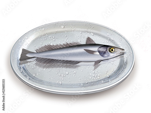 merlu , poisson, plateau, pêche, aliment, frais, fruits de mer, mer, animal, ailette, sain, queue, fond blanc, argent, attraper, repas, cuisiner, plat, viande, fraîcheur photo