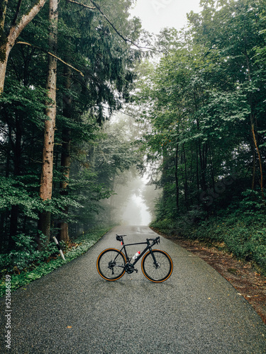 Strassenfahrrad im Wald