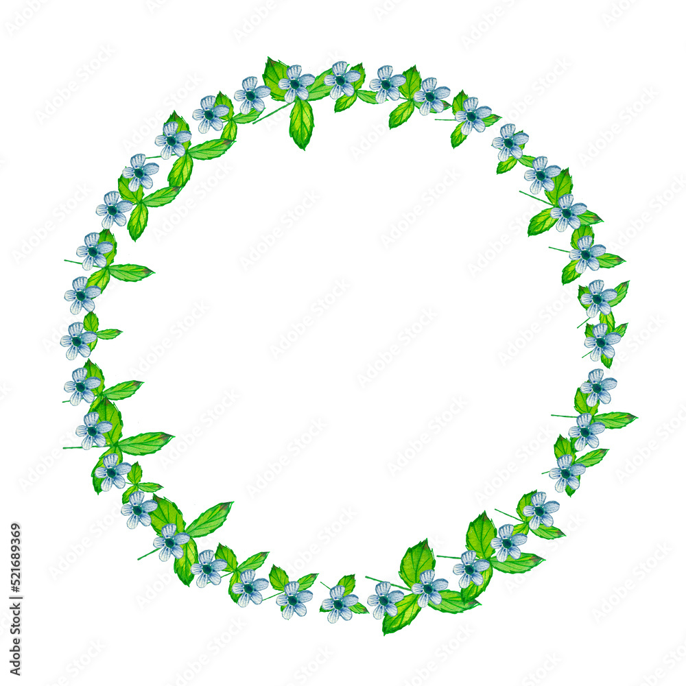 Flower wreath of grass in a circle. Botanical illustration. Great for posting text, quote or logo.