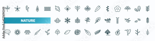 set of 40 special lineal nature icons. outline icons such as cuspicate, leaf monstera, larch leaf, dry leaf, briar human brian, tree leave, yucca, damaged, poplar line icons.