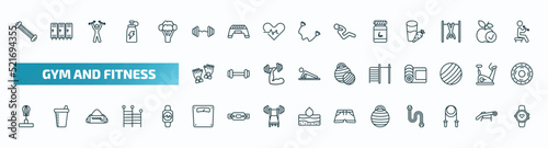 set of 40 special lineal gym and fitness icons. outline icons such as arms extender, dumbbells bar, phytonutrients, fitness gloves, tightening bar, standing punching ball, scale, fitness ball,