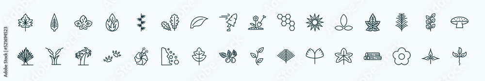 special lineal nature icons set. outline icons such as hawthorn leaf, larch leaf, farming, asian, bilberry leaf, reed bed, hibiscus, briar ginkgo, season, pinnation line icons.