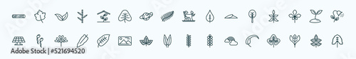 special lineal nature icons set. outline icons such as woods, indoor, stump house, orbicular, seeding, fertilize clinic, ovate, lemon leaf, rainbow behind a cloud, sassafras leaf, rowan leaf line