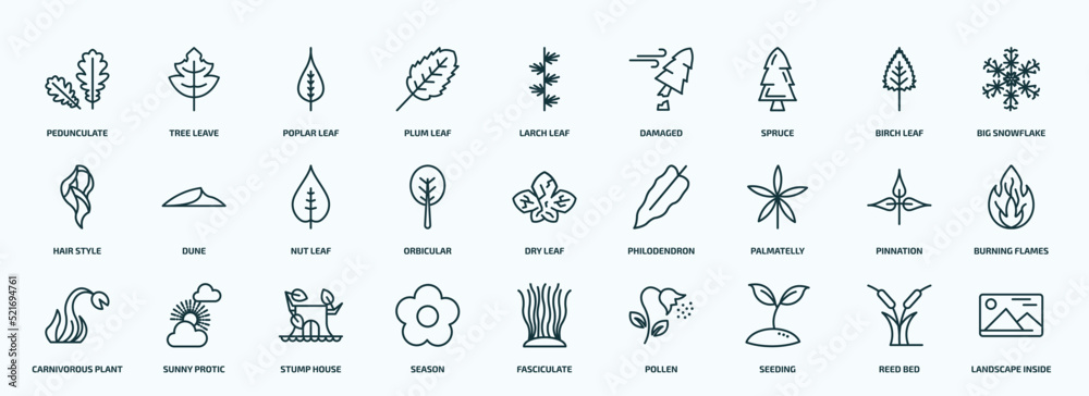 Obraz premium special lineal nature icons set. outline icons such as pedunculate, plum leaf, spruce, hair style, orbicular, palmatelly, carnivorous plant, season, seeding, reed bed line icons.