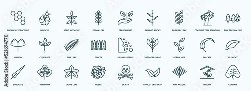 special lineal nature icons set. outline icons such as chemical structure, pecan leaf, bilberry leaf, ginkgo, fences, perfoliate, subulate, roses, pine needle, indoor line icons.
