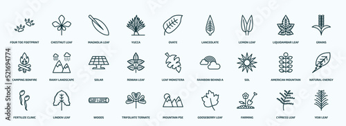 special lineal nature icons set. outline icons such as four toe footprint, yucca, lemon leaf, camping bonfire, rowan leaf, sol, fertilize clinic, trifoliate ternate, farming, cypress leaf line