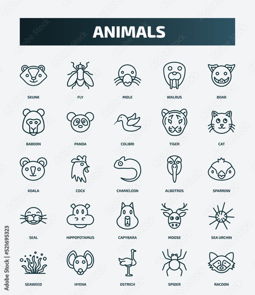 set of 25 special lineal animals icons. outline icons such as skunk, fly, boar, colibri, koala, albotros, hippopotamus, sea urchin, ostrich, spider line icons.