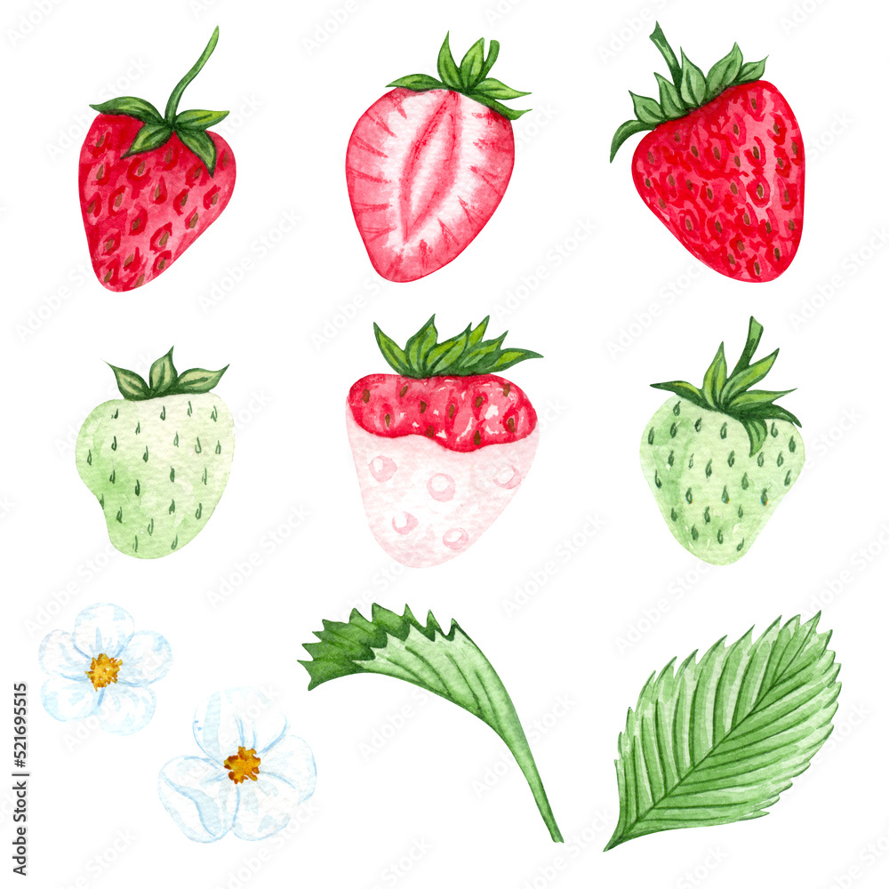 Fototapeta premium Set of watercolor strawberries. Hand drawn illustration. Ripe red berries and green leaves. Summer Strawberry
