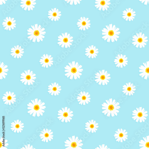 seamless daisy pattern and background vector illustration