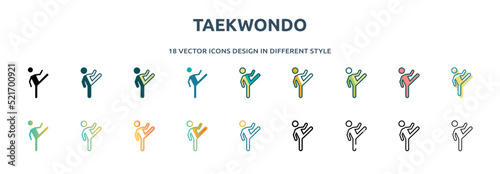 taekwondo icon in 18 different styles such as thin line, thick line, two color, glyph, colorful, lineal color, detailed, stroke and gradient. set of taekwondo vector for web, mobile, ui