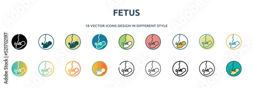 fetus icon in 18 different styles such as thin line, thick line, two color, glyph, colorful, lineal color, detailed, stroke and gradient. set of fetus vector for web, mobile, ui