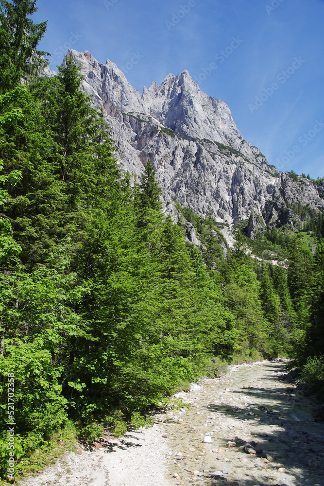 Obraz premium A path through Berchtesgaden National park from Ramsau to Weissbach bei Lofer