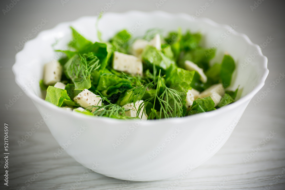 fresh green lettuce salad with mozzarella and herbs in a bowl fresh green lettuce salad with mozzarella and herbs in a bowl