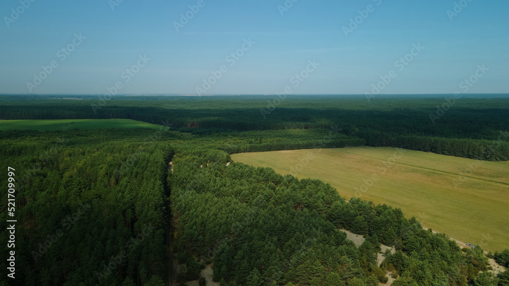 Obraz premium Rural landscape. Green forests and fields. Aerial photography.