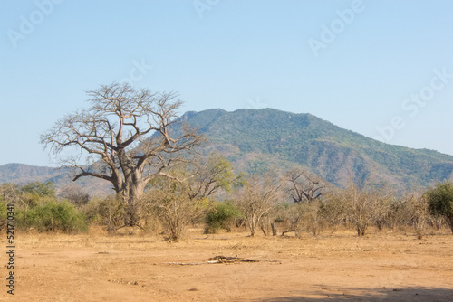 View of Lower Zambezi National Park, Zambia
