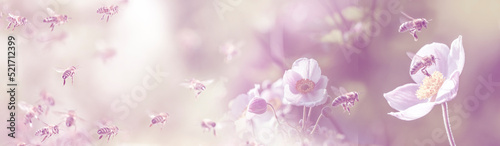 The panoramic view the garden with flowers and bees