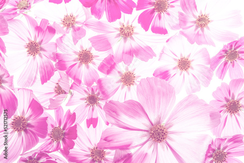 Wallpaper Mural a beautiful floral background from flower petals Torontodigital.ca